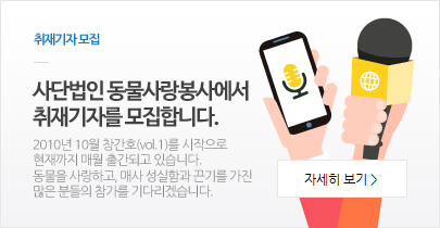 취재기자 모집